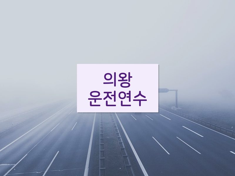 의왕운전연수 후기