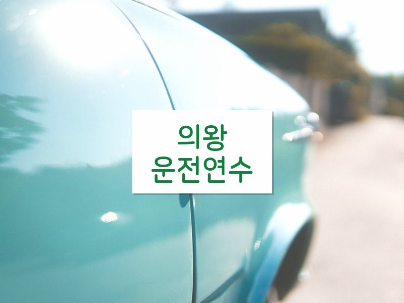 의왕운전연수 후기