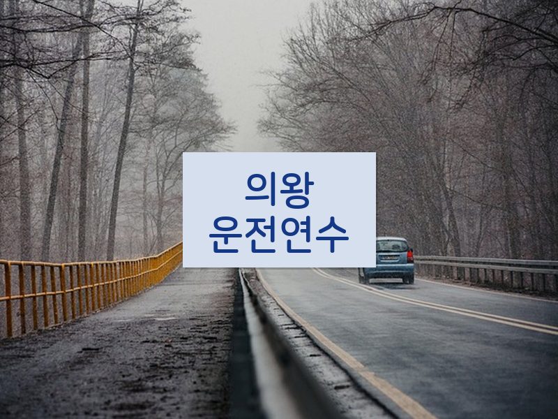 의왕운전연수 후기