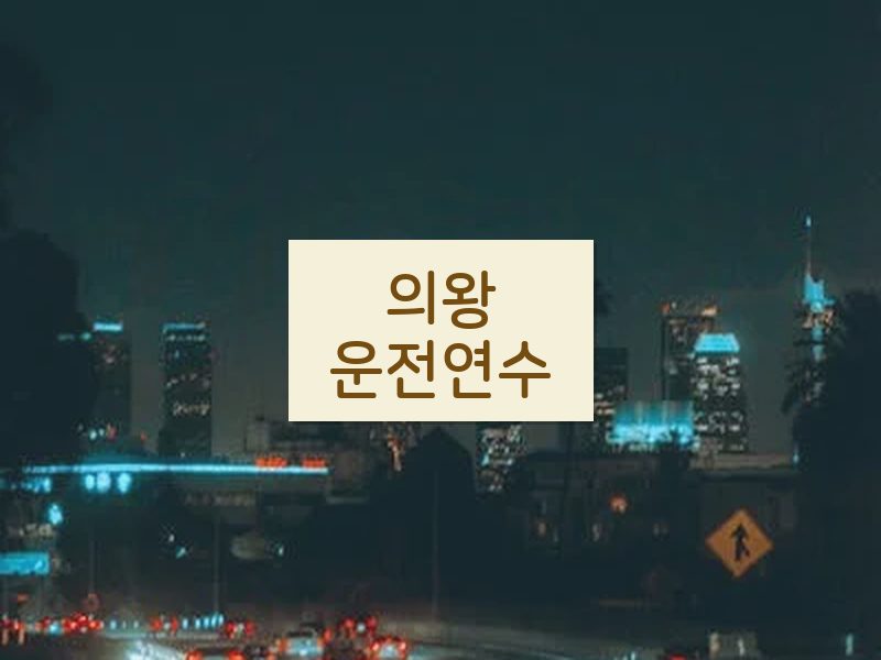 의왕운전연수 후기