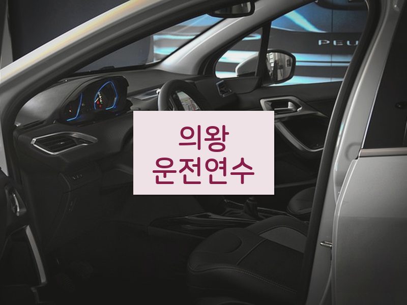 의왕운전연수 후기