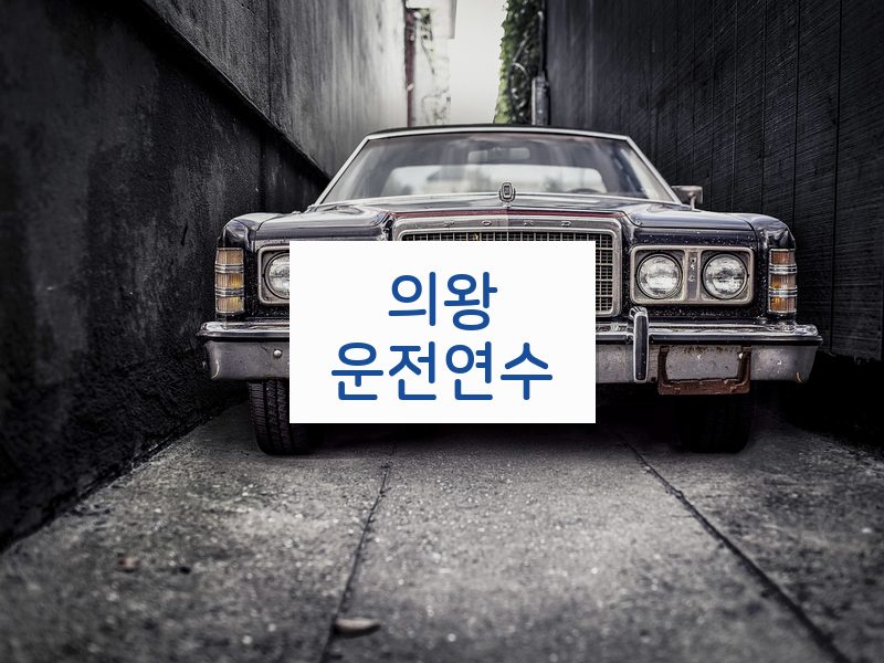 의왕운전연수 후기
