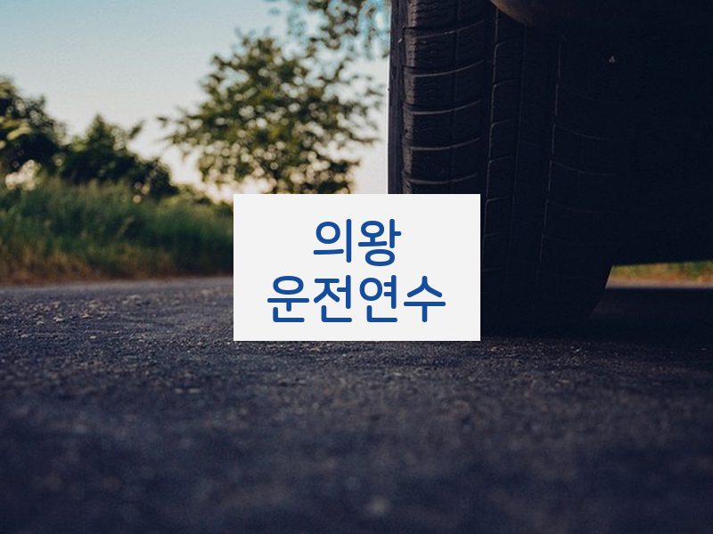 의왕운전연수 후기
