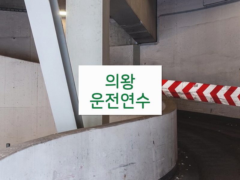 의왕운전연수 후기