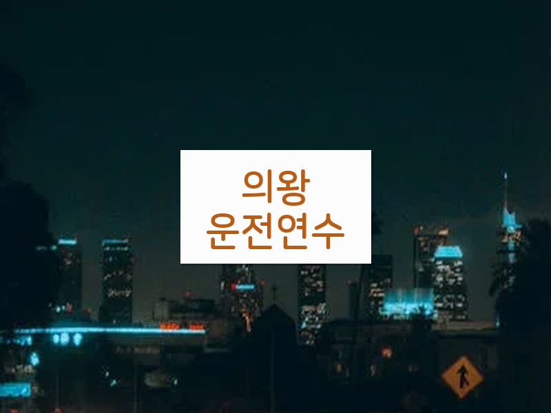 의왕운전연수 후기