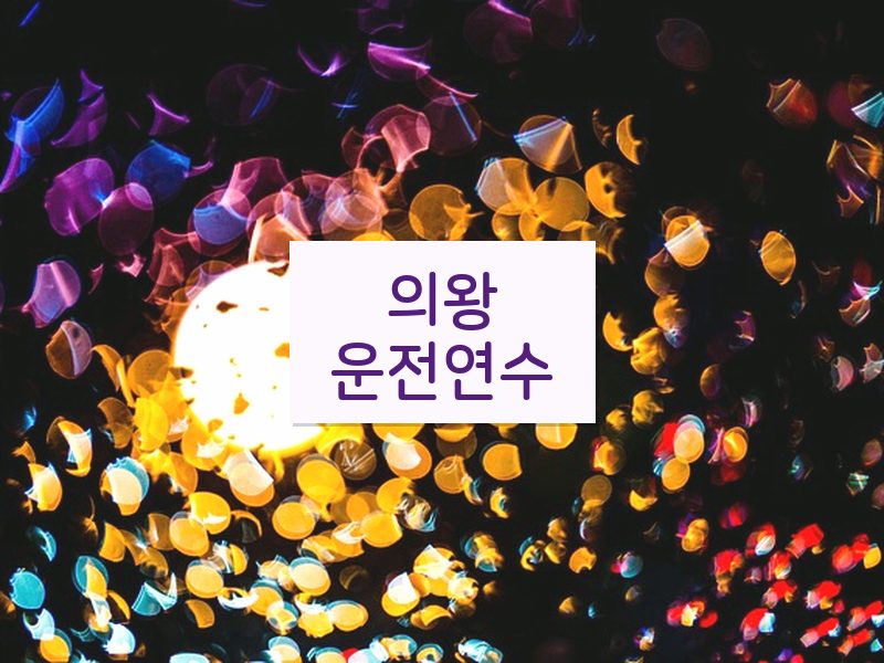 의왕운전연수 후기