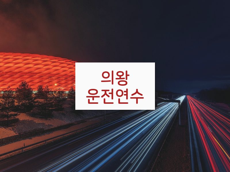 의왕운전연수 후기