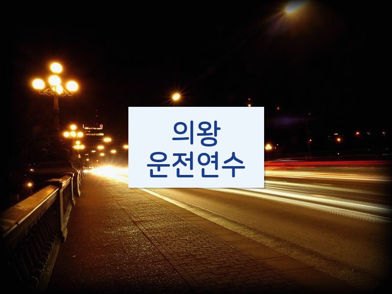 의왕운전연수 후기