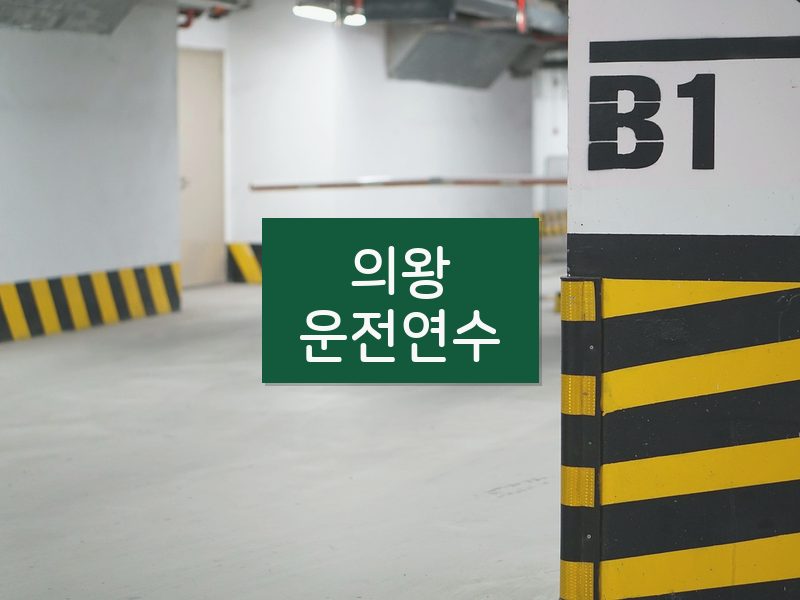 의왕운전연수 후기