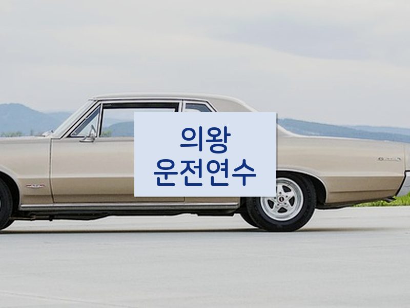 의왕운전연수 후기