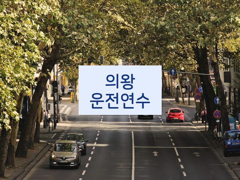 의왕운전연수 후기