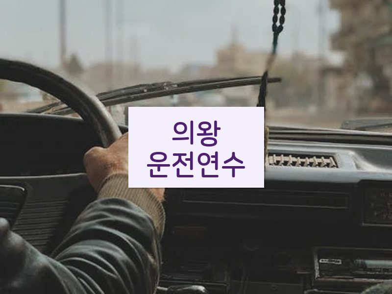 의왕운전연수 후기