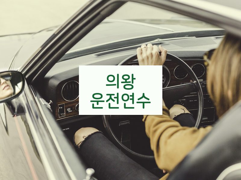 의왕운전연수 후기