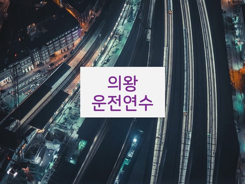 의왕운전연수 후기