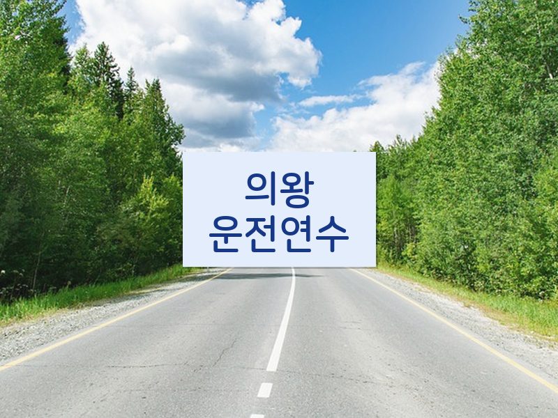 의왕운전연수 후기