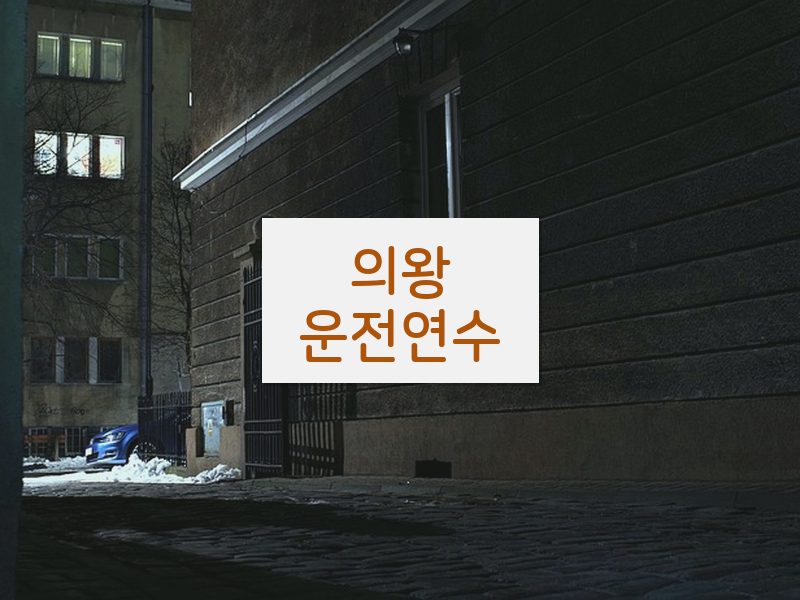 의왕운전연수 후기
