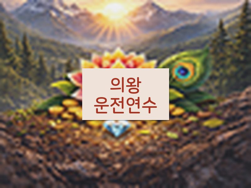 의왕운전연수 후기