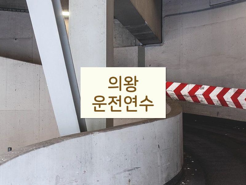 의왕운전연수 후기
