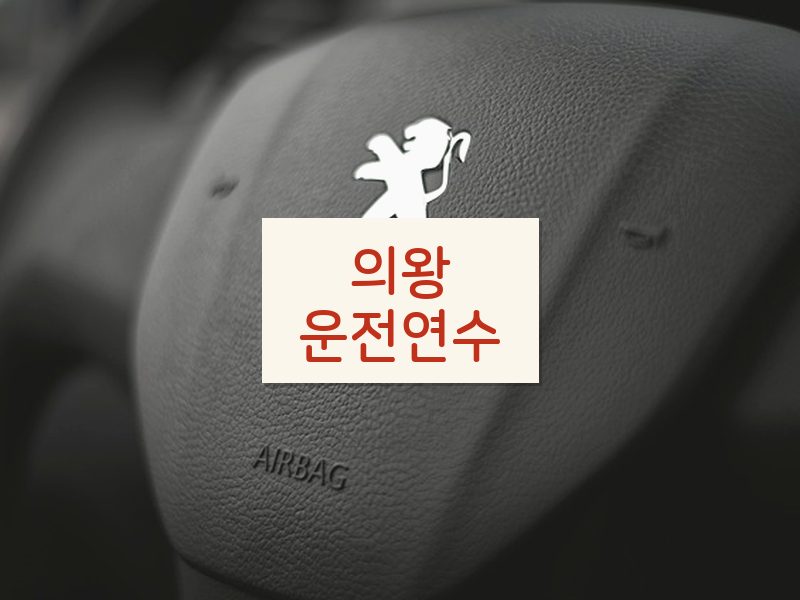 의왕운전연수 후기