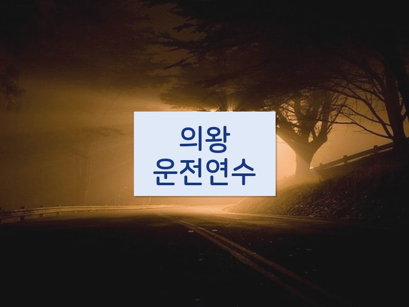 의왕운전연수 후기