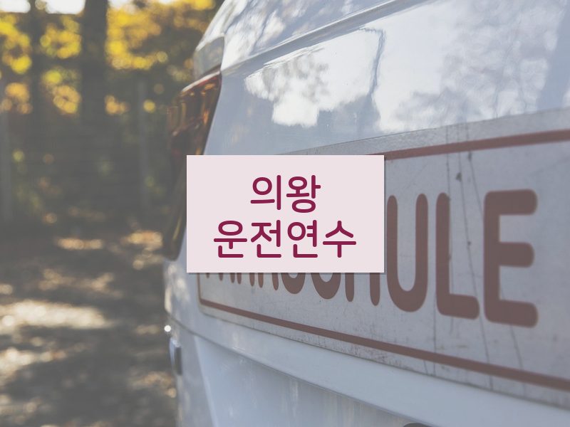 의왕운전연수 후기