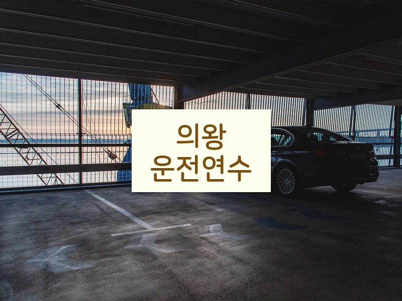 의왕운전연수 후기