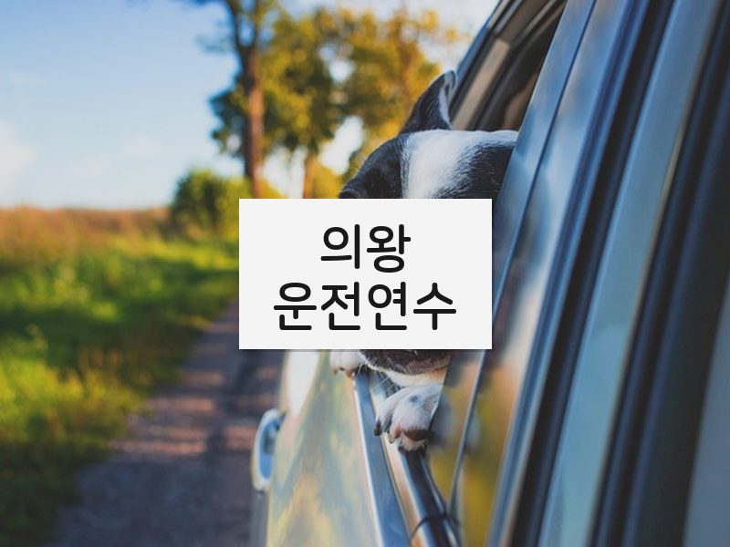 의왕운전연수 후기