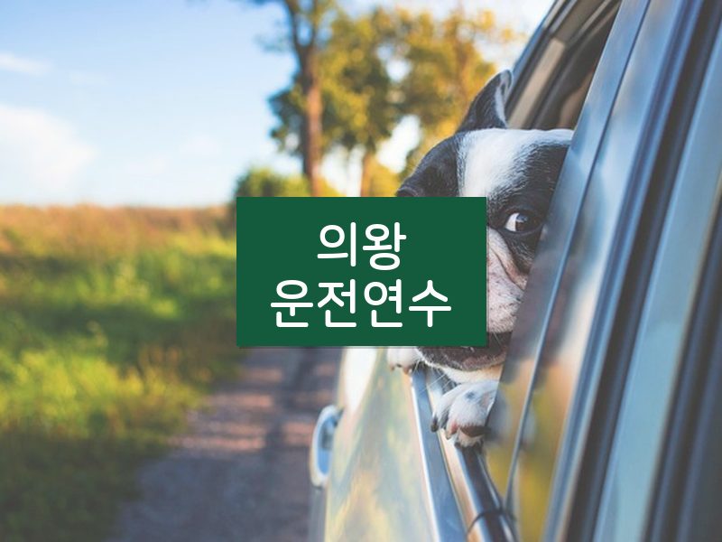 의왕운전연수 후기