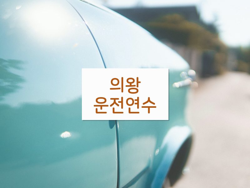 의왕운전연수 후기