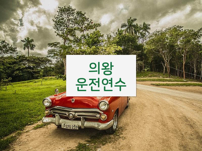 의왕운전연수 후기
