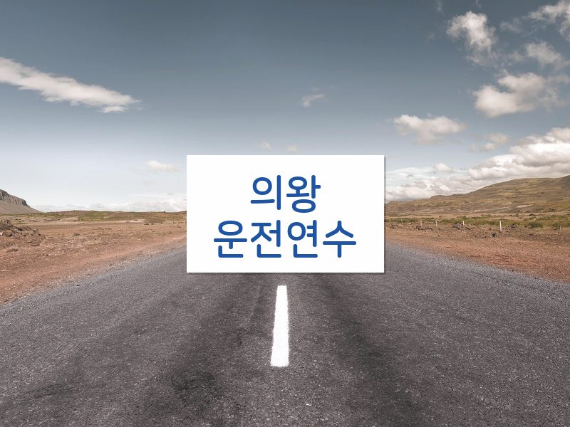 의왕운전연수 후기