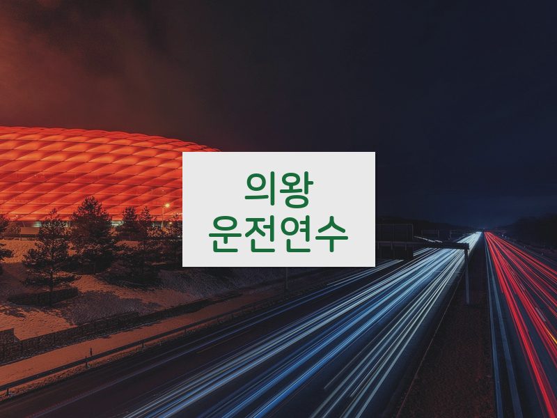 의왕운전연수 후기