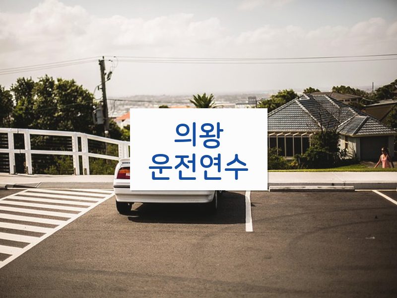 의왕운전연수 후기