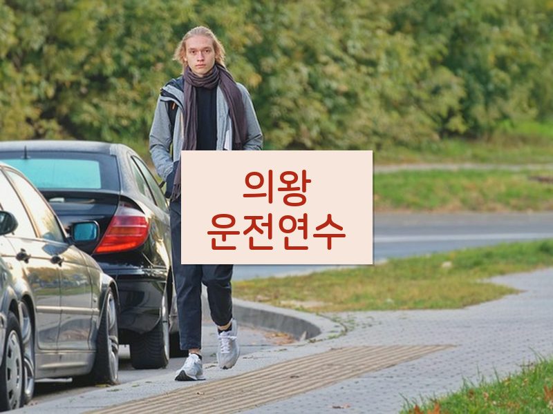 의왕운전연수 후기