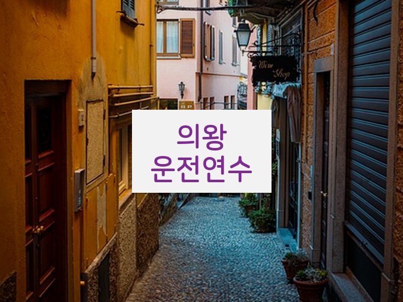 의왕운전연수 후기