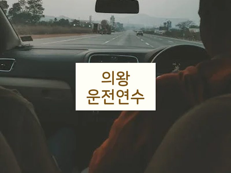 의왕운전연수 후기