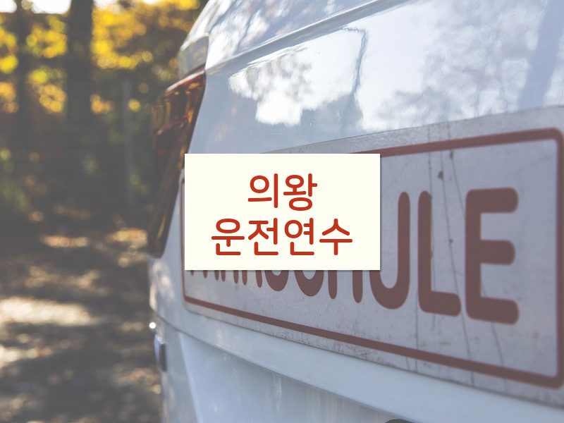 의왕운전연수 후기