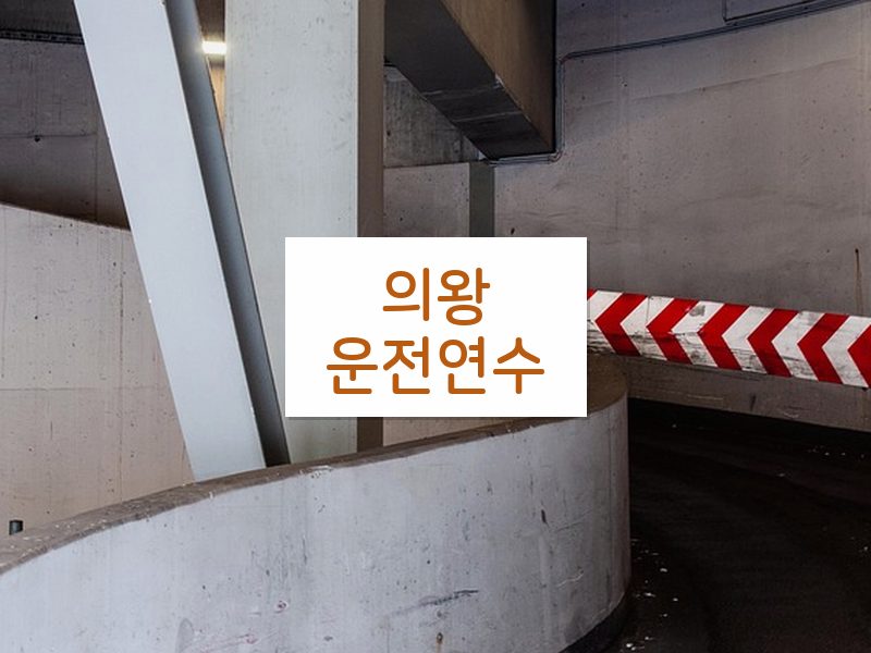 의왕운전연수 후기