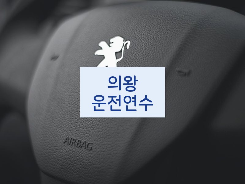 의왕운전연수 후기
