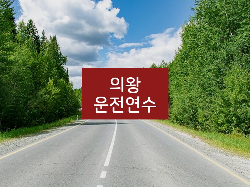 의왕운전연수 후기