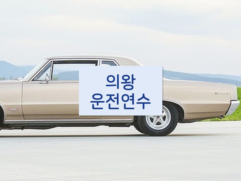 의왕운전연수 후기