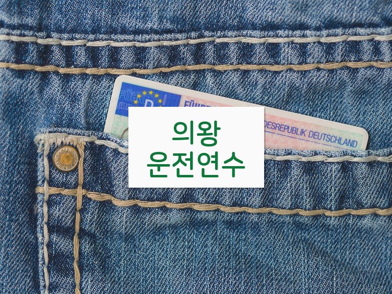 의왕운전연수 후기