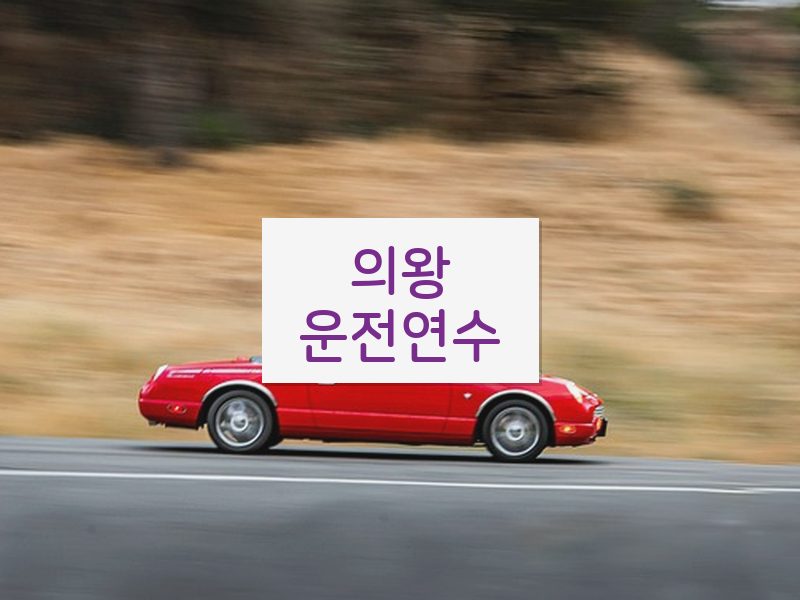 의왕운전연수 후기