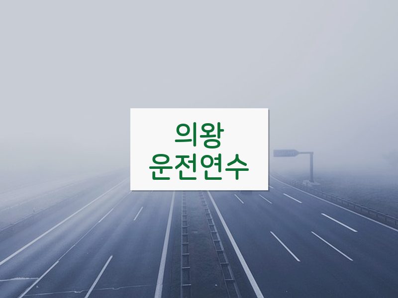 의왕운전연수 후기