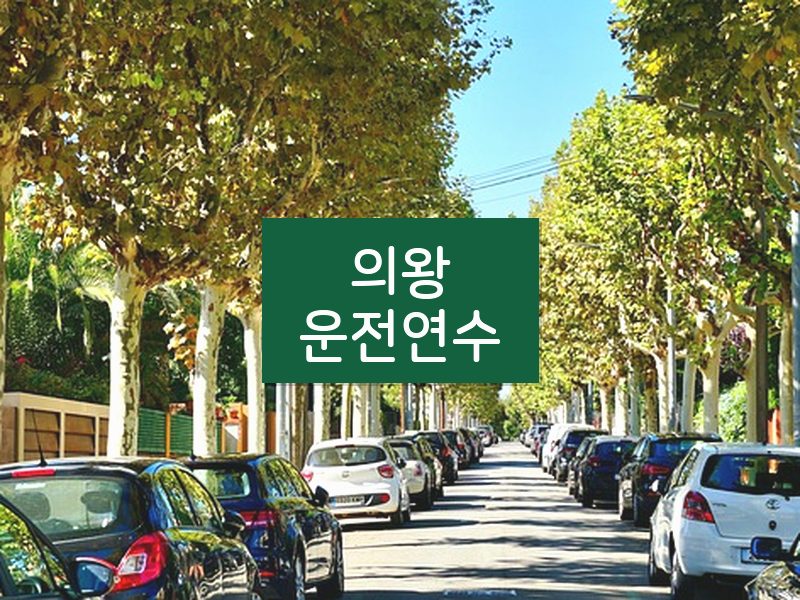 의왕운전연수 후기