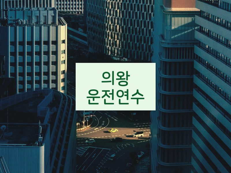 의왕운전연수 후기