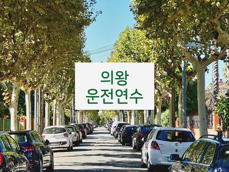 의왕운전연수 후기