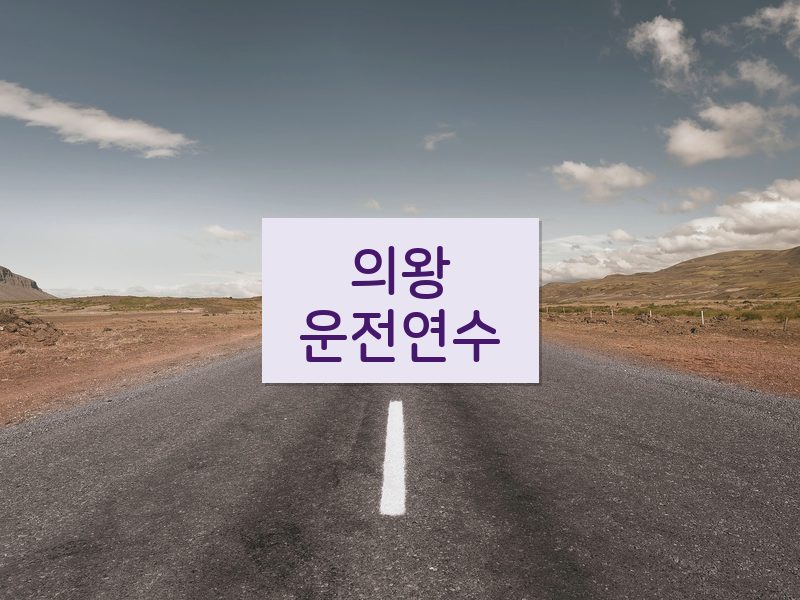의왕운전연수 후기