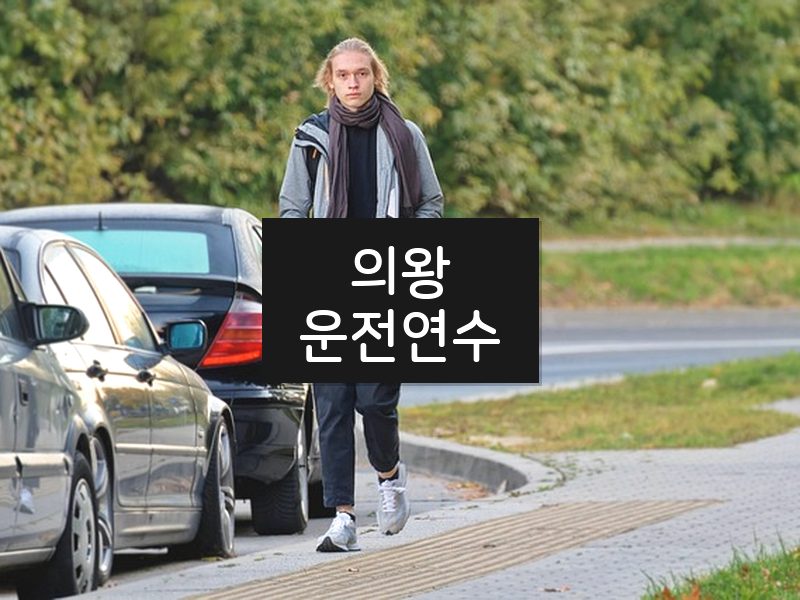 의왕운전연수 후기