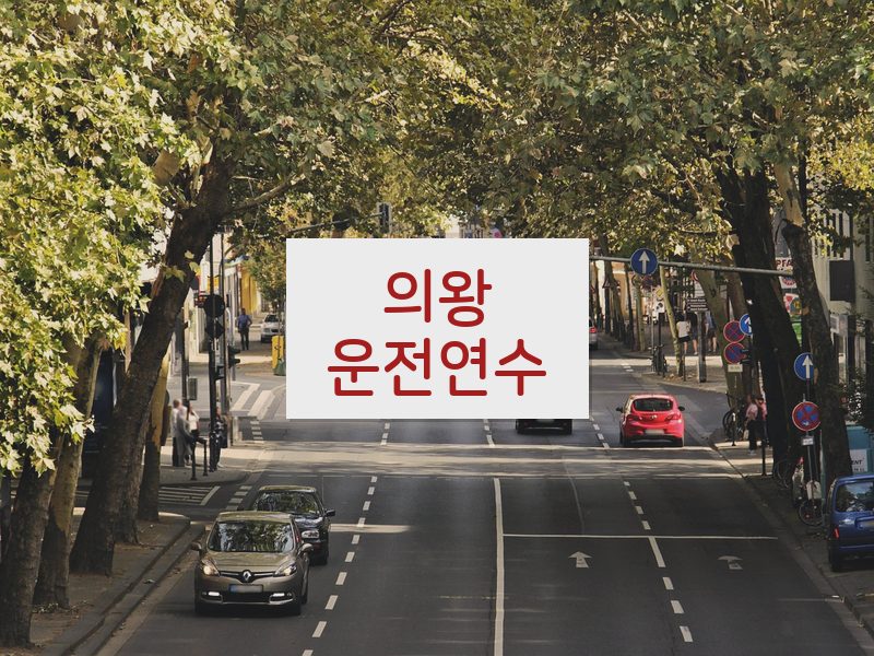 의왕운전연수 후기